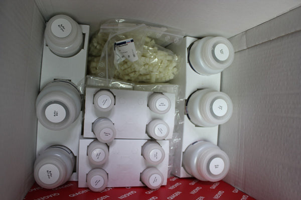 QIAGEN RNEASY KIT 1070804 169042311