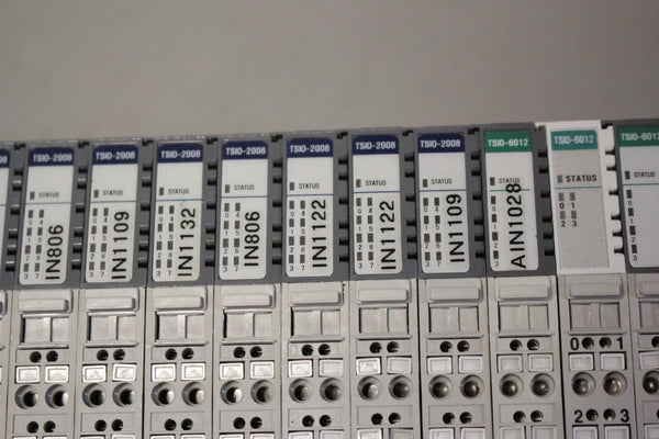 DANAHER SYQNET I/O RACK WITH 14 MODULES (1) TSIO-1001 (9) TSIO-2008 (4) TSIO-601