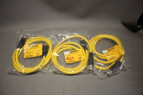 LOT OF 3 NEW TURCK CORDSET CABLE CSM CKM 19-19-2