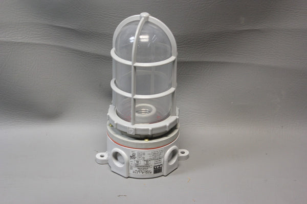NEW RAL RIG-A-LITE HAZARDOUS LOCATION LUMINAIRE CVPH15I24HRGC