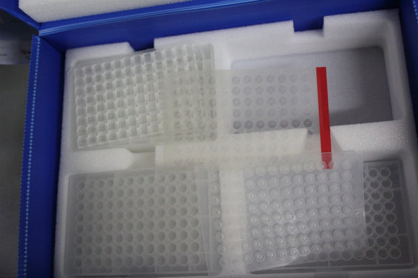 THERMO SCIENTIFIC VANQUISH SAMPLE CONTAINER KIT