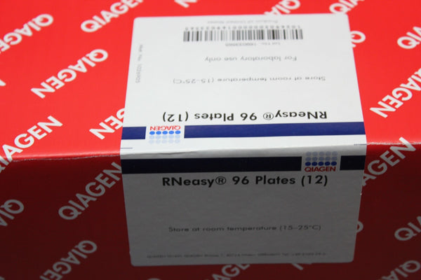 QIAGEN RNEASY KIT 1070804 169042311