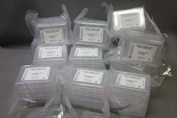 13- SEALED STEMCELL CELLADHERE COLLAGEN 12 WELL FLAT BOTTOM PLATE 100-0363